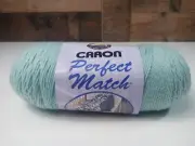 Caron Perfect Match 8 Oz Skein Soft Sage 7767