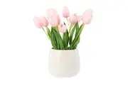 Rogue Tulip Bunch Gianna Pot - Pink