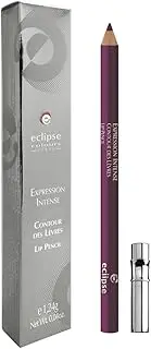 Eclipse 3509161100811 Lip Contour Lip Brush Pack of 1 x 1 g