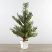 24" Icy Artificial Pine Topiary Tree in White Planter