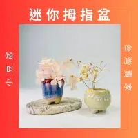 在飛比找iOPEN Mall優惠-知雨若泥 迷你微景觀育苗小花盆 多肉植物盆栽•小品盆栽•種子