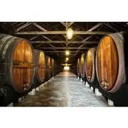 Save 10.00%! Private Lisbon wine tasting tour in the Setubal region