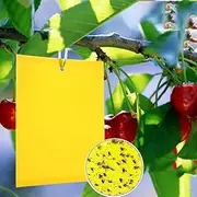50 Pack Dual-Sided Yellow Sticky Traps for Capturing Flying Plant Insects Like Fungus Gnats, Flying Aphid, Whiteflies, Leaf Miners, Other Flying Plant Insects