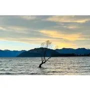 Save 5.00%! Private Driver Hire – Full-Day Touring Anywhere in New Zealand