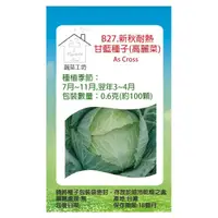 在飛比找momo購物網優惠-【蔬菜工坊】B27.新秋耐熱甘藍種子(高麗菜)