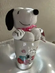 Peanuts Snoopy Valentines Mug With Plushie 2020 NWT
