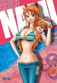 在飛比找Yahoo!奇摩拍賣優惠-300-547 絕版300片日本進口拼圖 One piece