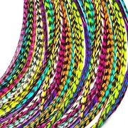Feather Hair Extensions 100% Real Rooster Feathers Long Rainbow Colors 20 Feathers with Bonus Free Beads and Loop Tool Kit by Feather Lily RAIN