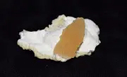 Calcite on Mordenite (Honey Calcite) RARE Mineral/Crystal (No Amber, Amethyst)