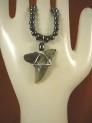 (s319-73) 1-5/8" Fossil Hemipristis Shark Tooth hematite necklace snaggletooth