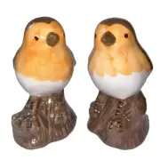 Robin Cruet Salt and Pepper Shakers Novelty Tableware Set