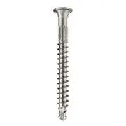 SIMPSON Strong-Tie 12G 50mm Hardwood Collated Screw DSDG50SA