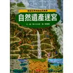 2D 2014年6月七刷《自然遺產迷宮 環遊世界拜訪自然美景》香川元太郎/陳珊珊 小天下9789862169032