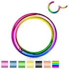 Segment Hoop Ring Anodized IP Hinged Multi Use 16G or 14G