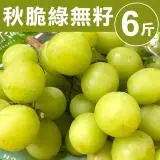 【甜露露】秘魯秋脆綠無籽葡萄6斤(6斤±10%)