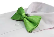 Mens Light Green Sparkly Glitter Patterned Bow Tie