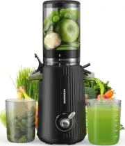 Acoqoos Slow Cold Press Juicer Whole Fruit and Vegetable with 4.3" Feeding