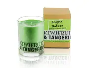 Scents of Nature by Tilley Soy Candle - Kiwifruit & Tangerine