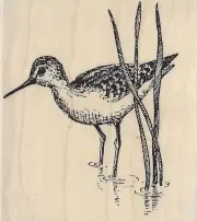 BIRD Sandpiper Wood Mounted Rubber Stamp IMPRESSION OBSESSION C1223 New