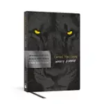 CHASE THE LION WEEKLY PLANNER: ORGANIZE YOUR LIFE, ACHIEVE YOUR GOALS