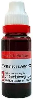 Dr. Reckeweg Echinacea Angustifolia 1X (Q) (20ml) Pack Of 1