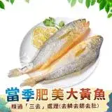 在飛比找遠傳friDay購物優惠-【歐呷私廚】當季肥美大黃魚5尾-550G/尾(去鰓去鱗去肚)