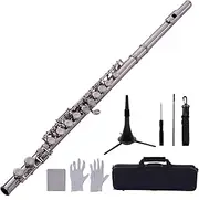 Labymos 16-Hole Flute C Key Cupronickel Material Silver Plated Wind Instrument with Flute Stand Cleaning Cloth Gloves Mini Screwdriver Padded Carry Case