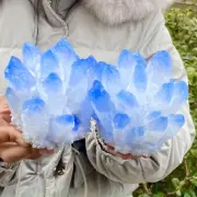 2.94LB Natural Blue Quartz Crystal Cluster Specimen Crystal Flowers Décor