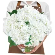 5Pcs 21in Real Touch White Hydrangea Artificial Attractive White ???