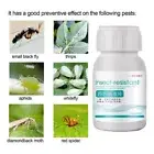 Bottled Boron Fertilizer Speed Up Insect Repellent Fertilizer Succulent