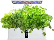 Mingzhe Smart Hydroponics Growing System Indoor Garden Kit 9 Pods Automatic Timi