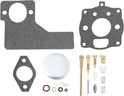 EMSea Carburetor Repair Kit 394989 Engine Repair Carb Rebuild Repair Kit Compatible with Briggs & Stratton 10 11 16 hp Engine Carburetor