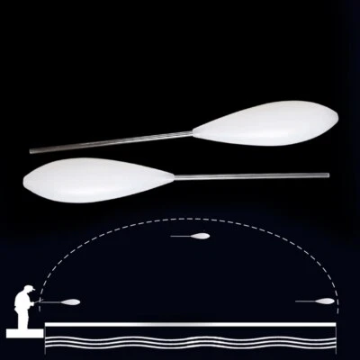 Successful Carp Fishing 2pcs Floater Controler Floats for Precision