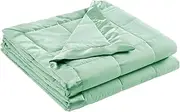Madison Park Windom Down Alternative Blanket, Premium 3M Scotchgard Moisture Wicking Treatment, Lightweight and Soft Bed Cover for All Season, Satin Trim, Seafoam King