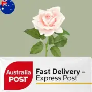 Artificial Faux Ecuador Real Touch Rose Stem - Soft Pastel Pink Colour