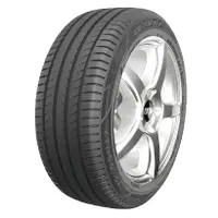 在飛比找蝦皮購物優惠-【驊慶輪胎館】Maxxis MS2 205/55R-16 2