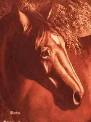 HORSE PRINT Giclee MARE CIRCE AT SUNSET artist BETS 6 COLORS print size 13 X 16