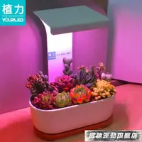 在飛比找樂天市場購物網優惠-植物燈 植力【桌面植物燈】多肉補光led全光譜上色USB家用