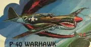 Model Airplane Plans (UC): Midwest P-40 Warhawk 48" Profile for .29 -.40