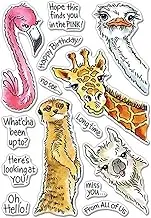 Animals is Watching You Dies and Stamp Sets for Card Making Giraffe Flamingo Dogs Snakes Clear Rubber Stamp Match Metal Cutting Dies for DIY Scrapbooking Paper Crafting Handmade Crafts Stencil Die Cut