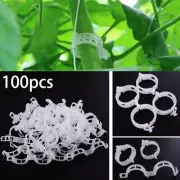Versatile Plant Support Clips 100pcs Perfect Solution for Tomato Vines