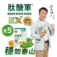 在飛比找PChome24h購物優惠-肽醣軍®EX升級版 複方膠囊 5盒共300粒