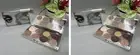 2NWB BELLE EN ARGENT Plum premonition 8 color eye shadow pressed pigment palette