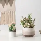 Artificial Succulent Fake Plant In Pot Mini Potted Plants Landscap Home Decor