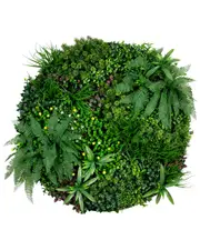Nearly Natural Indoor/Outdoor UV-Resistant Amalfi Coast Artificial Living Wall Art Panel in Frame
