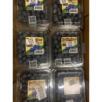 在飛比找蝦皮購物優惠-紐西蘭特價藍莓1盒125克