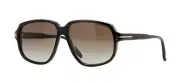 Tom Ford ANTON FT 1024 Shiny Black/Grey Brown Shaded (01B) Sunglasses