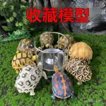 模型龜 仿真陸龜 綠蠵龜 烏龜 海龜 象龜 龜 巴西龜 仿真 動物模型 野生動物 兒童玩具 益智 公仔