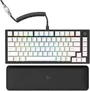 Glorious Gaming Keyboard Mechanical GMMK Pro Prebuilt Black - ANSI/USA Layout - Fox Linear Switch - GPBT White Keycaps (White) - Prebuilt Premium RGB 75% Mechanical Keyboard