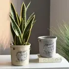Desktop Fabric Flower Pots Folding Plant Bag Home Decoration Flower Pot Home